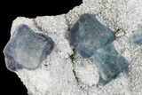 Multicolored Cubic Fluorite Crystals on Quartz - China #149753-2